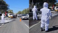 Barril repleto de miel se derrama en la Carretera Nacional y provoca invasión de abejas