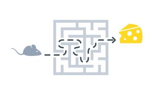 What the Phenomenon of Kinesia Paradoxa Can Teach Us