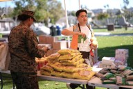 Everyday volunteers are providing stopgap services during the shutdown in a show of community power