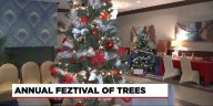 Feztival of Trees returns