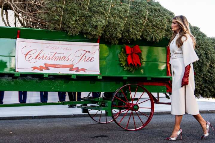 Melania Trump welcomes Christmas tree to the White House