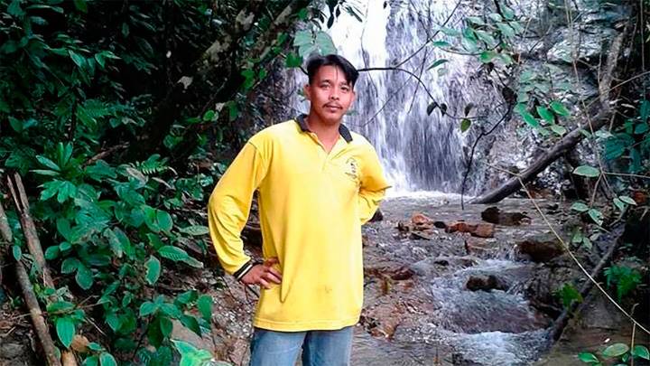 Elefantes atacaron un campamento: le fracturaron las piernas a un obrero, lo dejaron…