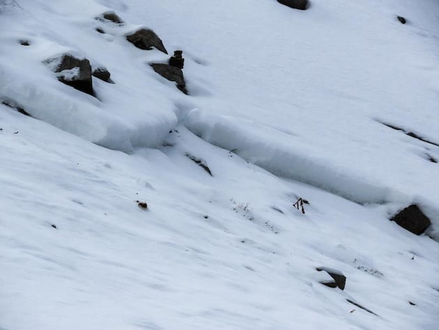 Recent avalanche highlights Utah’s risk despite low snow levels