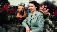 What Happened To Queen Elizabeth's Corgis After She Died? Update On The Royal Pups