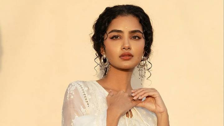 Anupama Parameswaran Takes Legal Action Against 20-Year-Old For Spreading Inappropriate Posts About Her