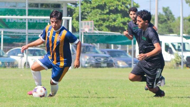 Definidos los semifinalistas del campeonato Génesis por la Paz en la Liga Universitaria de Sinaloa