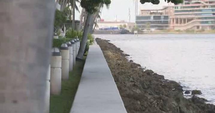 Push for homeowner association reform brews in Brickell Key as seawall replacement costs, developer control has residents worried