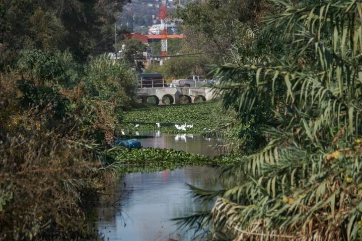 RINCONES DE MORELIA | Río Grande, entre el estancamiento y el olvido