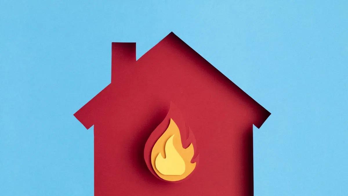 Woman Dies In Fire Trying To Save Cats