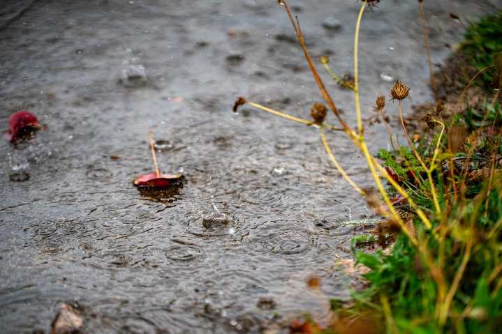 Rain to drench Portland this weekend, with gusty winds and high surf