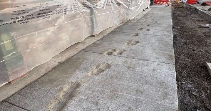 Vandalism in southwest Colorado causes $10,000 in damage to construction project