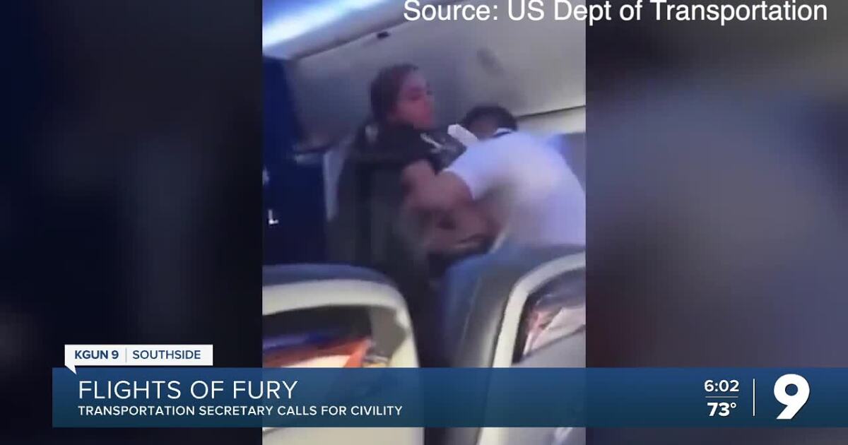 No flying fists—Transportation Secretary calls for civility