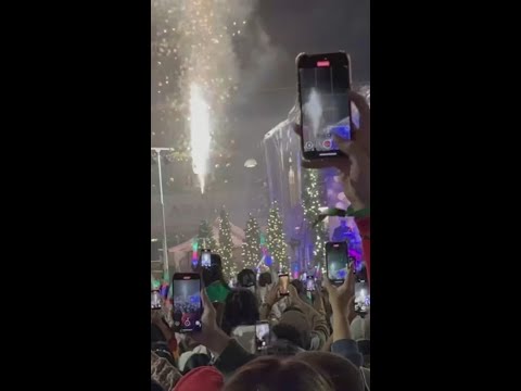 Big reveal at Avalon Tree Lighting