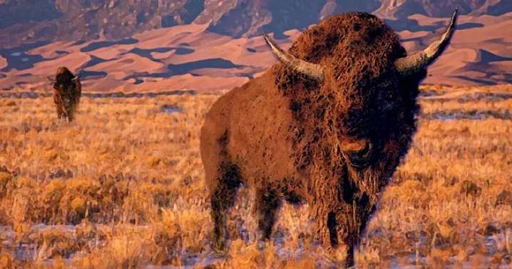 Earth Notes: Clovis Culture and Megafauna