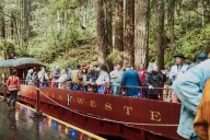 Riding the Mushroom Train for fungi, fine wine and forest conservation