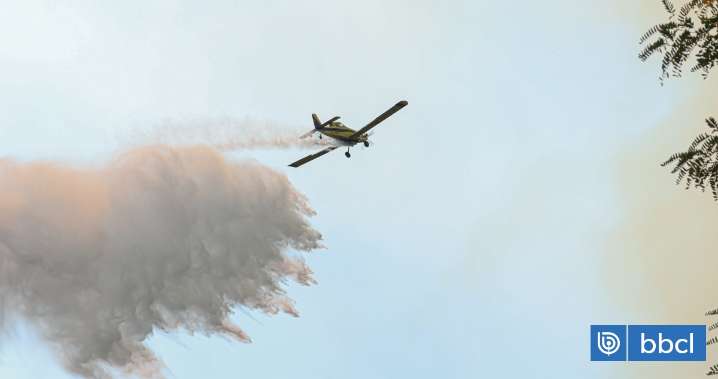 Altas temperaturas y baja humedad: Alerta preventiva por amenaza de incendios forestales en Bío Bío