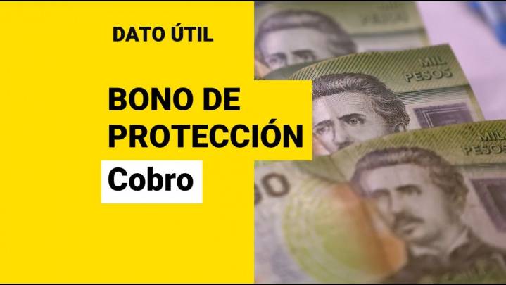 Bono de Protección: Así puedes cobrar el beneficio para dueñas de casa