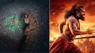 Iconic tiger made out of waste? Kantara: Chapter 1 tiger stuns fans in viral video