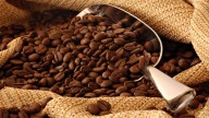 Exportación de café se incrementó este año un 500 % más que en 2024