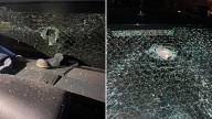Cruiser window smashed by falling quahog in Mass.