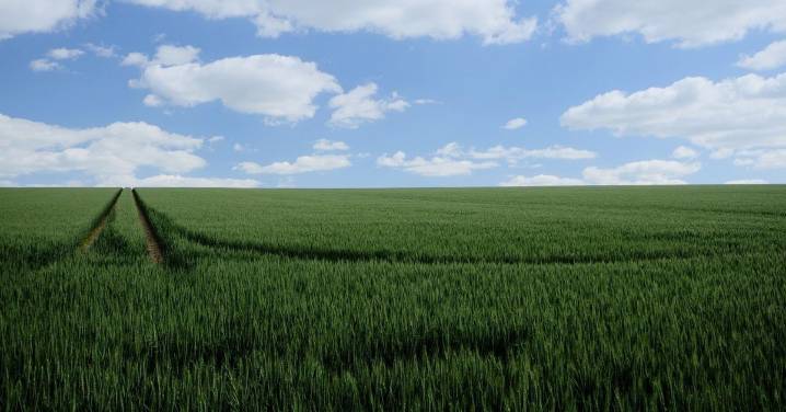 La UE pacta medidas para simplificar la PAC y aumentar las ayudas a los pequeños agricultores