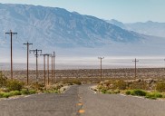 La planta del Valle de la Muerte que vence al calor y ofrece la clave para adaptar los cultivos al cambio climático
