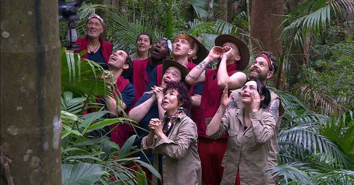 Five things that viewers are talking about in I'm a Celebrity... Get Me Out of Here