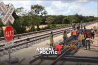 Tren Maya de carga bajará el precio de la gasolina en el sureste: Sheinbaum