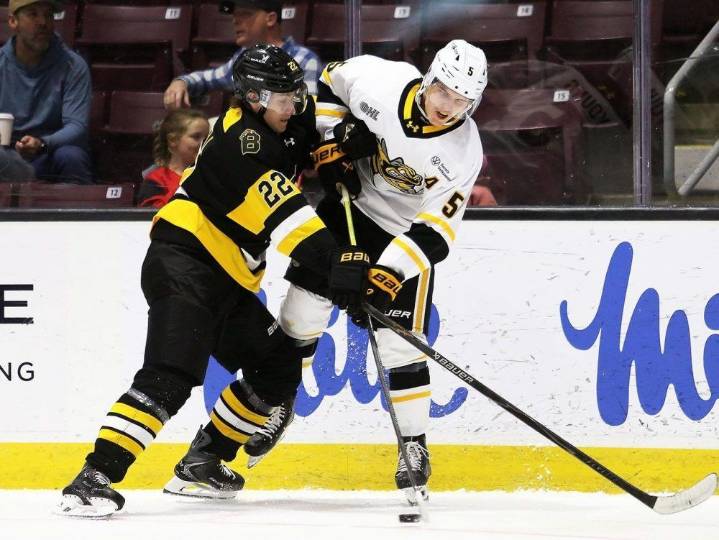 Sarnia Sting's skid continues against No. 1