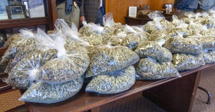 Gadsden, AL police find 95 pounds of marijuana