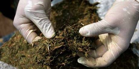 Condenado a prisión por tráfico de 55 envoltorios de marihuana en Falcón