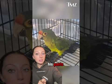 Man With Big Bulge Busted at Border With Endangered Birds in His Pants