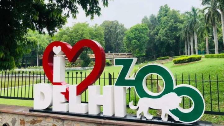 National Zoological Park reopens for visitors in Delhi