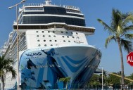 Llegan 10 mil 546 visitantes en un solo día a Puerto Vallarta en dos cruceros