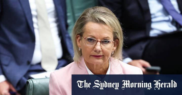 Sussan Ley leadership: Opposition leader insists she will stay in job amid net zero policy dispute