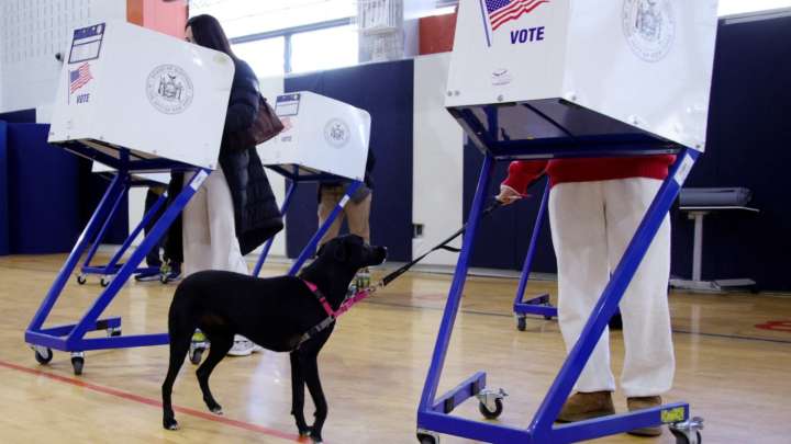 ¿Quién Ganó en las Elecciones del 4 de Noviembre del 2025 en Estados Unidos? Revisa Resultados