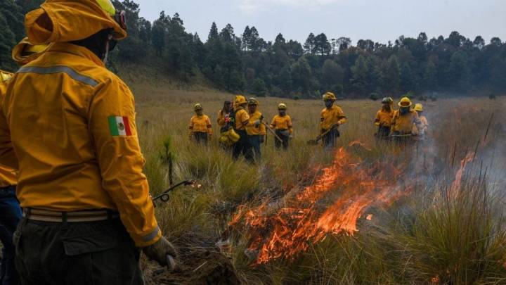 México y casi 50 países se comprometen a combatir los incendios forestales desde la prevención