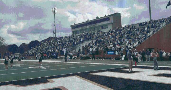 Harding Bisons defeat Pittsburg State, advance to DII playoff quarterfinals