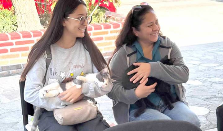 Llevarán Jornadas de Esterilización Canina y Felina a Guadalupe Peralta, Pintores Mexicanos y Ojo de Agua