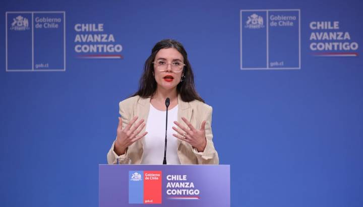 Vocera de Gobierno cuestiona decisión del CNTV de rechazar aprobación para exhibir campaña por violencia contra las mujeres