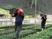 Más de 1.000 productores serán atendidos en nueva Tienda Agrícola en Altagracia de la Montaña 