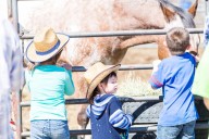 Zoonotic Outbreaks: Understanding the Risks Associated with Petting Zoos, State Fairs, and Farm-Animal Handling for Salmonella, Listeria, and E. coli Transmission to Children