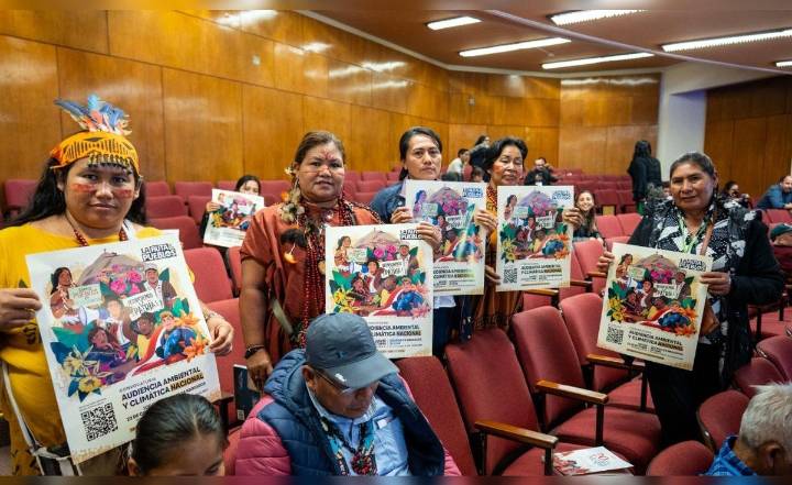 COP30: Perú llega con aumento récord de deforestación y líderes indígenas exigen participación