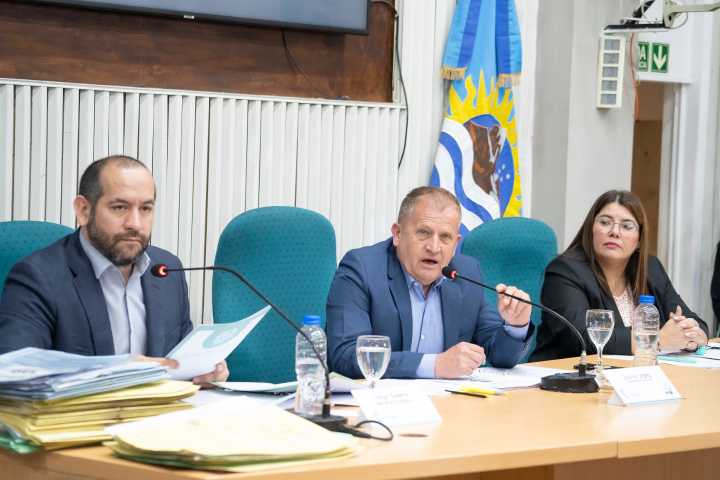 Diputados aprobaron leyes para la regulación de la puericultura en Santa Cruz y la promoción educativa para estudiantes con altas capacidades