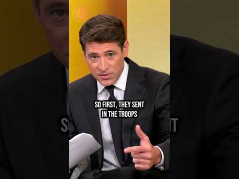 Japan uses drones broadcasting dog barks to combat bear problem #shorts