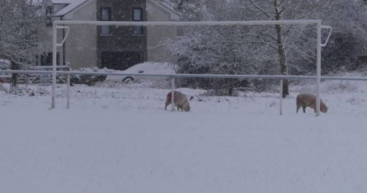 UK faces 66 hours of snow with 13 cities and towns in England set to be buried