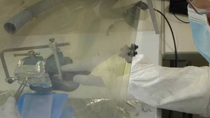 Científicos del CONICET descubrieron un linaje genético propio de Argentina