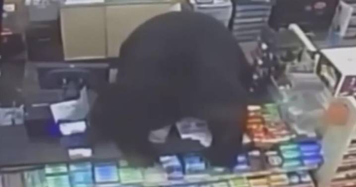 Shocking video shows black bear chasing boy into Pennsylvania Family Dollar