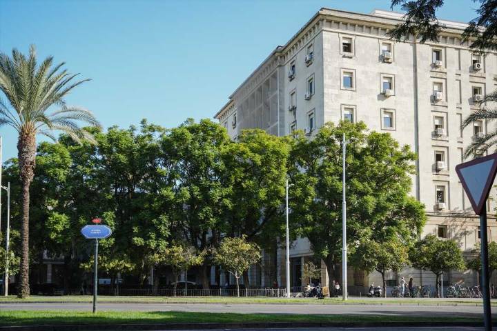 Condenan a 20 años de cárcel a la madre del bebé abandonado en un contenedor de basura