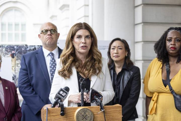 New York City URGENTLY needs a sane City Council speaker